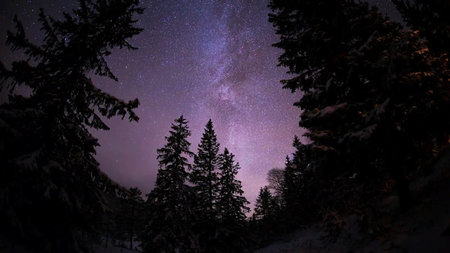 Stargazing in Norway: How High-end Travelers Are Connecting with the Cosmos