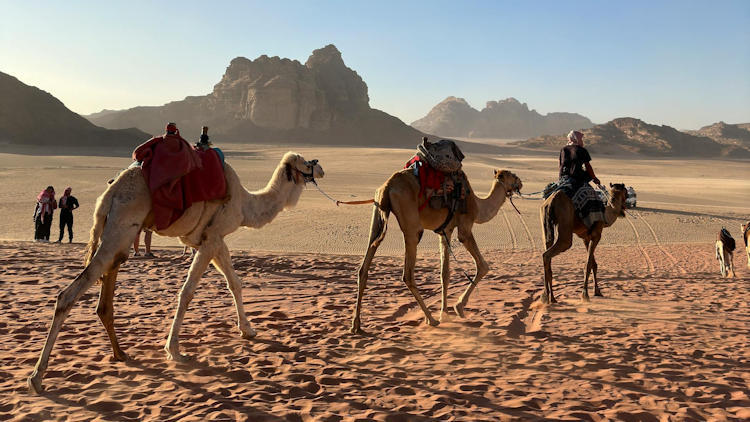 Why travel with Journey in Jordan? Get your leg over that camel now…