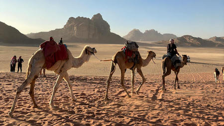 Why travel with Journey in Jordan? Get your leg over that camel now…