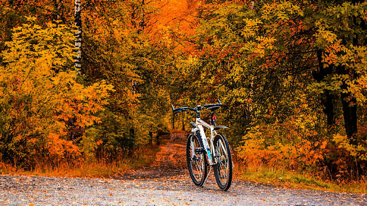 Cycling Holidays in Autumn and the Beauty of Slow Travel