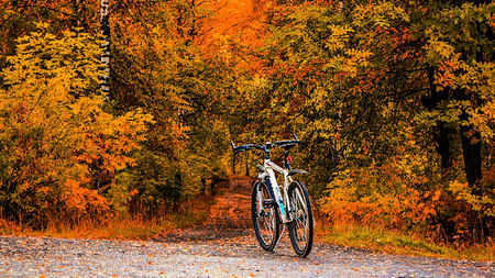 Cycling Holidays in Autumn and the Beauty of Slow Travel