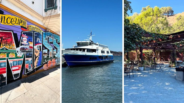 Must-Have Travel Websites to Save Before Your Next Trip