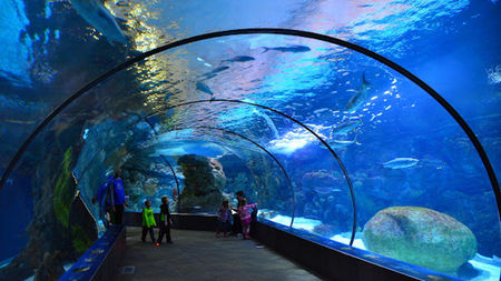Things to Do in Omaha, Nebraska