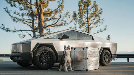 Top Tesla Cars in the USA