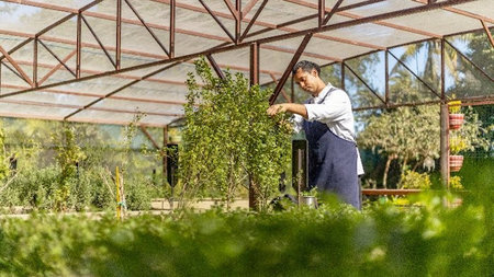 Casa Velas Unveils New Botanical Garden Workshop