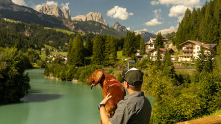 Must-Have Items for Traveling With Your Dog