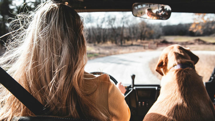 Luxury Wilderness Escapes in the U.S. for Travelers Who Bring Their Pets