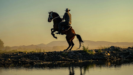 Family-Friendly Texas: The Top 5 Cities to Raise a Family