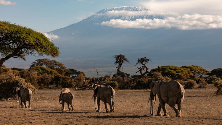 Climbing Kilimanjaro Is Only Half the Story: What No One Tells You About the Journey
