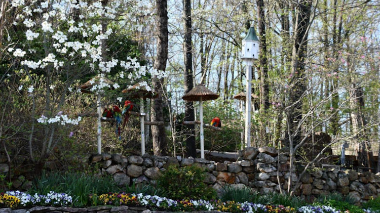 Entertainment That Turns Family Travel Into an Adventure