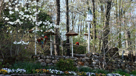 Entertainment That Turns Family Travel Into an Adventure