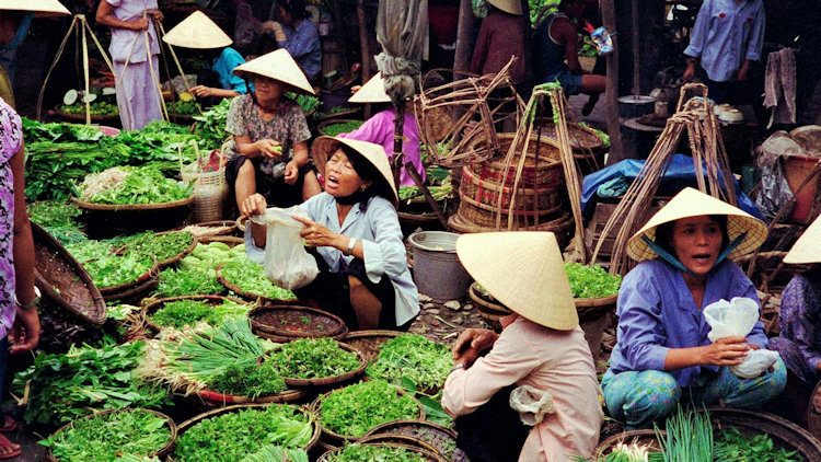 How to Choose the Right Viettel Sim Card for Your Vietnam Trip