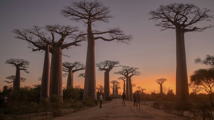 The Growing Appeal of Nature-Focused Travel Experiences