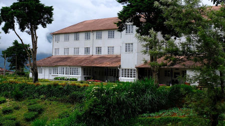A Celebration of Ceylon Tea History: Tracing the leaves from the field to your cup, in the heart of Sri Lanka’s tea plantations