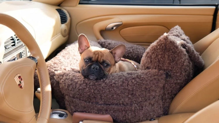 Luxury Dog Car Seats: First-Class Comfort for the Back Seat