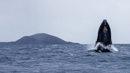 Maui Experiences That Go Beyond a Typical Beach Vacation