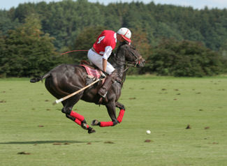 Luxury Travel Insider Guide to Cartier International Polo