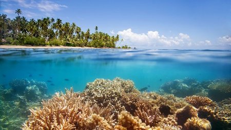 Celebrate Earth Day at the Greenest Hotels & Resorts
