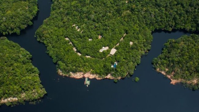 Peruvian Amazon River Cruise Lets Guests Branch Out in Luxurious Treehouse Lodging