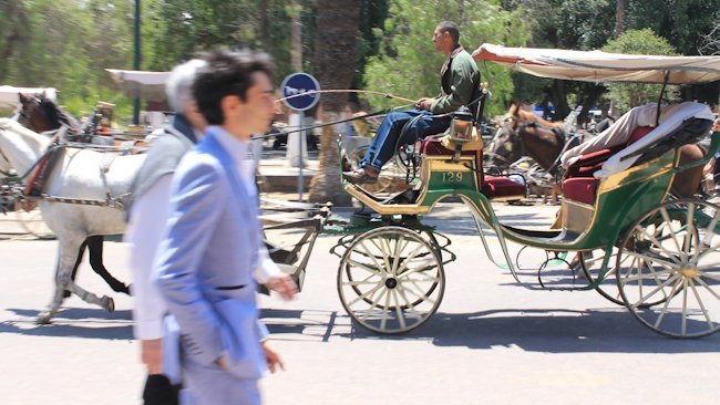 Discovering Moroccan Traditions in Marrakech