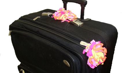 Pomchies Lets You Find Your Luggage Easily in a Sea of Suitcases
