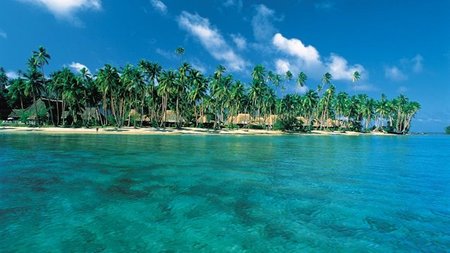 Traditional Fijian Medicine Walk at Jean-Michel Cousteau Resort in Fiji 