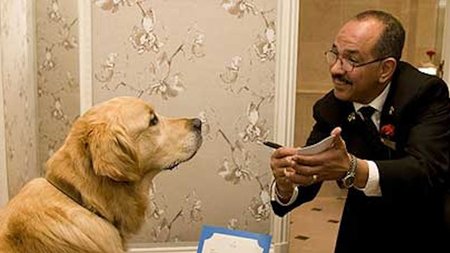Red Carnation Hotels Celebrate VIPs (Very Important Pets)