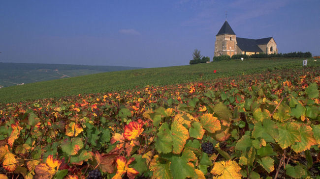 France's Champagne Region Toasted with UNESCO World Heritage Status