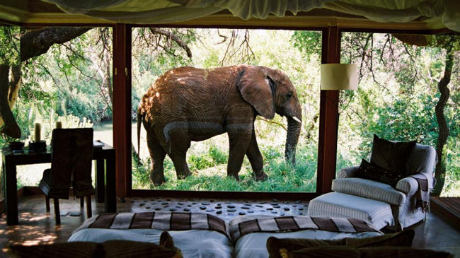 Sanctuary Retreats Adds New Safari Lodge in South Africa