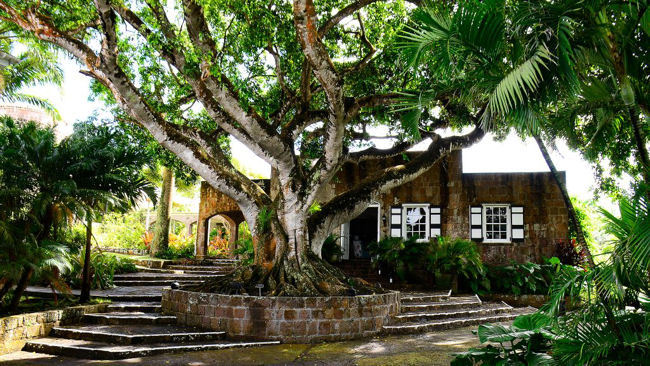 Caribbean's Montpelier Plantation & Beach Celebrates 50 Years