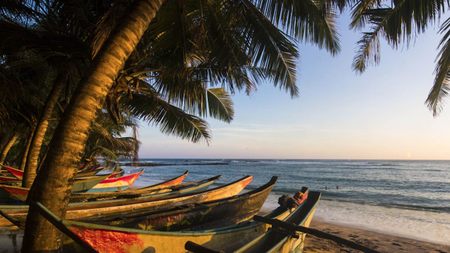 January’s Wanderlust Worthy Destinations