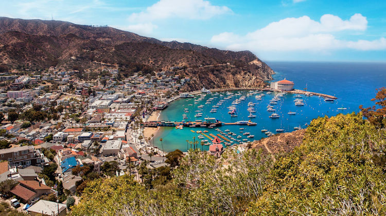 5 Reasons To Visit Catalina Island This Spring