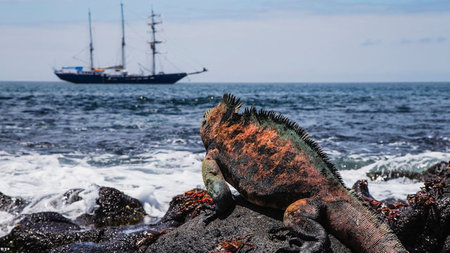 The Great Galapagos Tour: Nine Days In The Wild