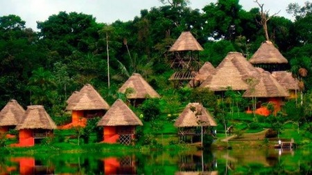 Spend the Night in an Amazon Rainforest Eco Lodge
