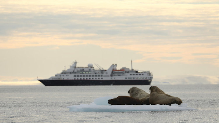 Silversea Opens Sales on New 51-Port Grand Voyage Arctic 2021
