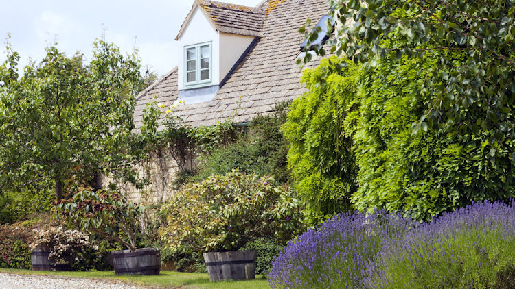 5 Reasons to Stay in Luxury Holiday Cottages While Visiting The UK