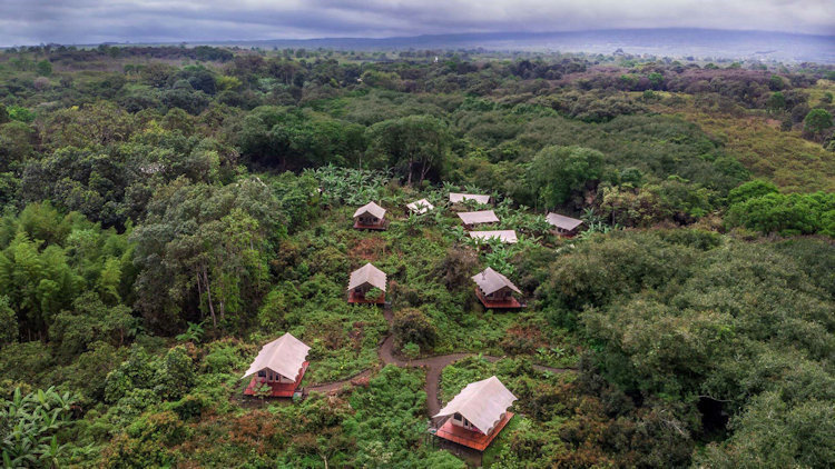 Galapagos Glamping & Yacht Tour