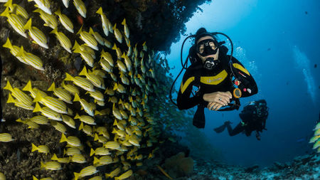 Most Exotic Locations For Underwater Photography