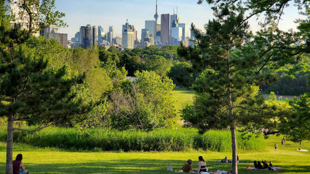 Take the Plunge - Explore the City Where You Plan to Move
