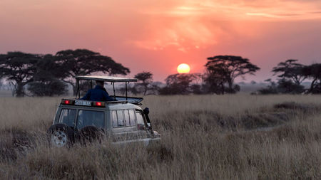 A First Timers' Guide to Planning an African Safari 