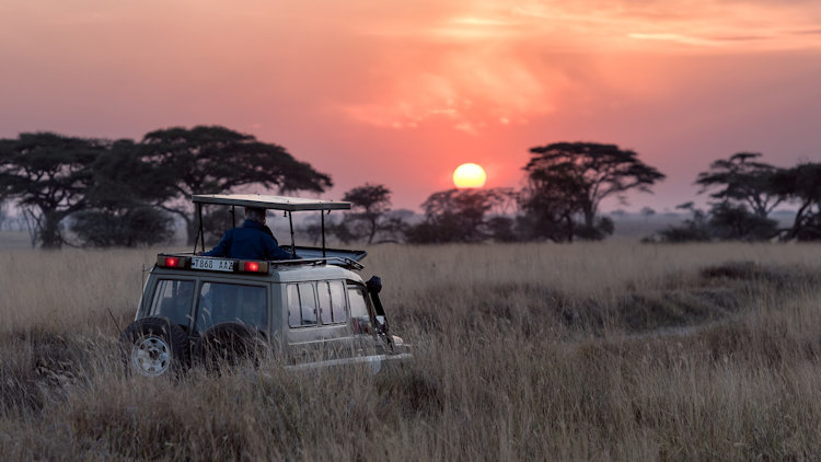 The Ultimate Luxury Accommodations in the Heart of Serengeti