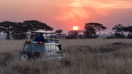 The Ultimate Luxury Accommodations in the Heart of Serengeti