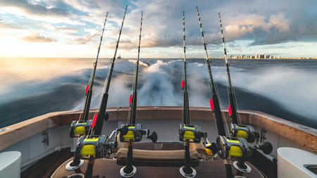 Essential Tips for a Successful Fishing Trip