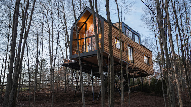 The Chatwal Lodge Unveils 3 Treehouses, Redefining Luxury in New York's Catskills Region 