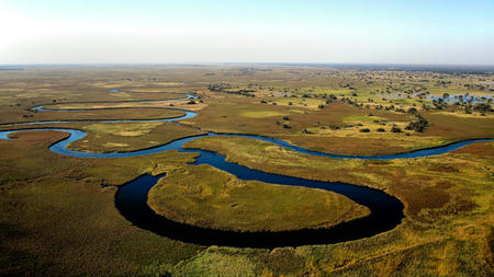 Exploring the Wonders of the Okavango Delta: A Paradise for Wildlife, Waterways, and Conservation