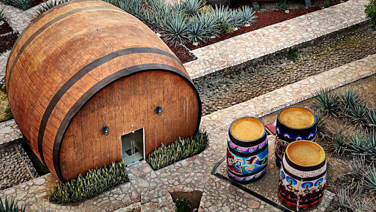 Discover Top Cultural and Historical Drink Trails Around the World