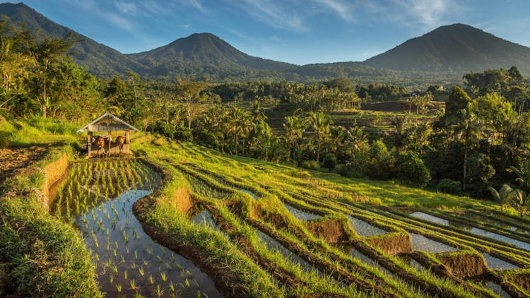 Extraordinary Journeys Expands into Indonesia, Offering Private, Tailor-Made Adventures