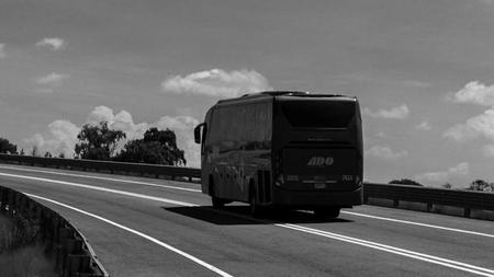 Weaving Through the Tapestry of Travel: The Role of Medium-Size Buses in Group Dynamics