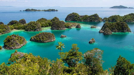 Why a Private Yacht is the Ultimate Gateway to Komodo and Raja Ampat