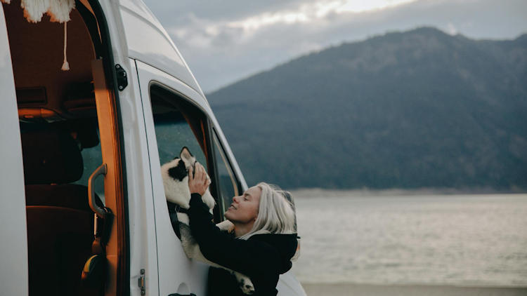 RV Temperature Monitoring: Why Your Pets Need It More Than You Think